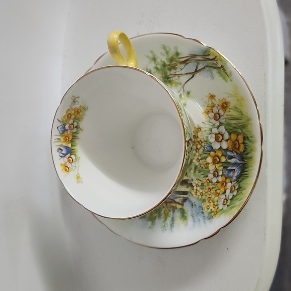 Shelley Bonę China, Daffodil Time Cup and Saucer, very rare collectible - Picture 5 of 8